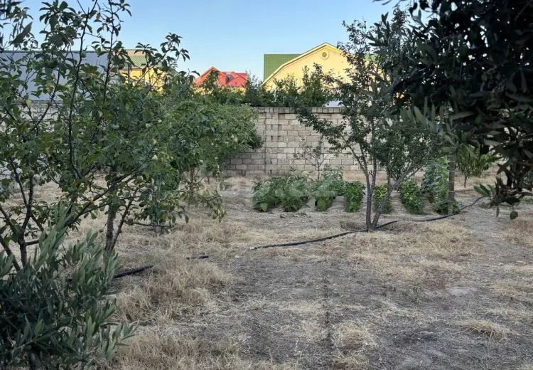 0 m² Obyekt / Ofis , Buzovna, Xəzər, Bakı