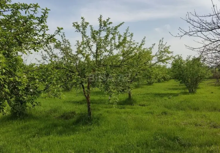90 sot Torpaq Satılır, Qəbələ