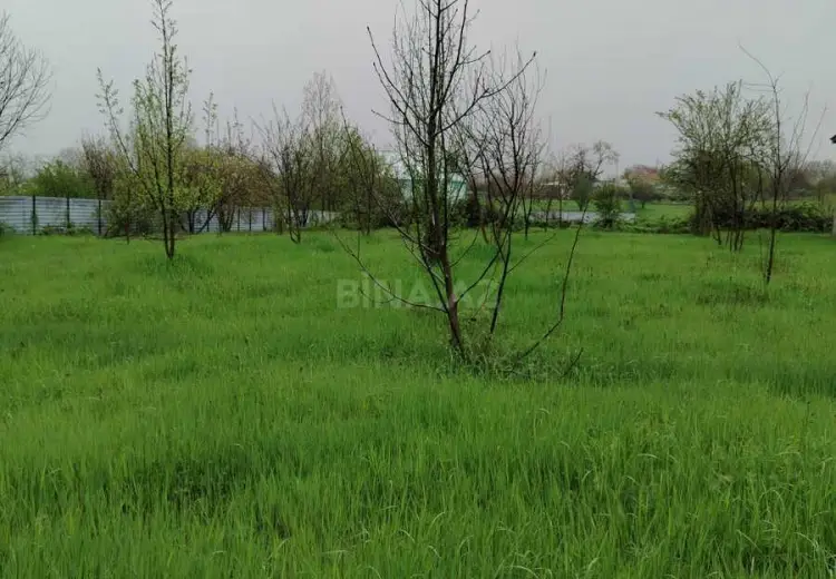 9 sot Torpaq Satılır, Qəbələ