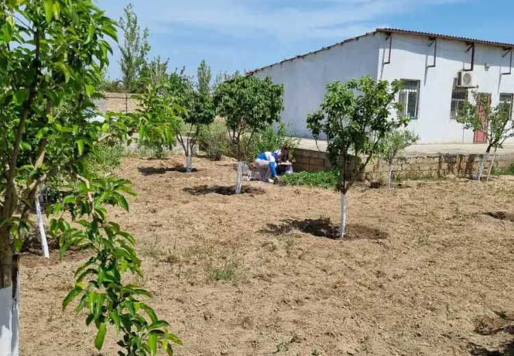 24 sot Torpaq Satılır, Pirşağı qəs., Sabunçu, Bakı