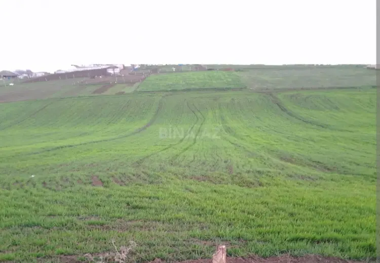 6.8 sot Torpaq Satılır, Cəlilabad