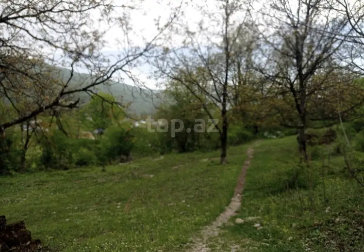 0 m² Obyekt / Ofis , Quba