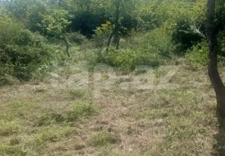 6 otaqlı mənzil , Ağdaş