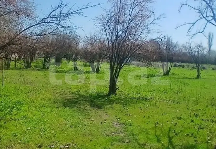 6 otaqlı mənzil , Ağdaş