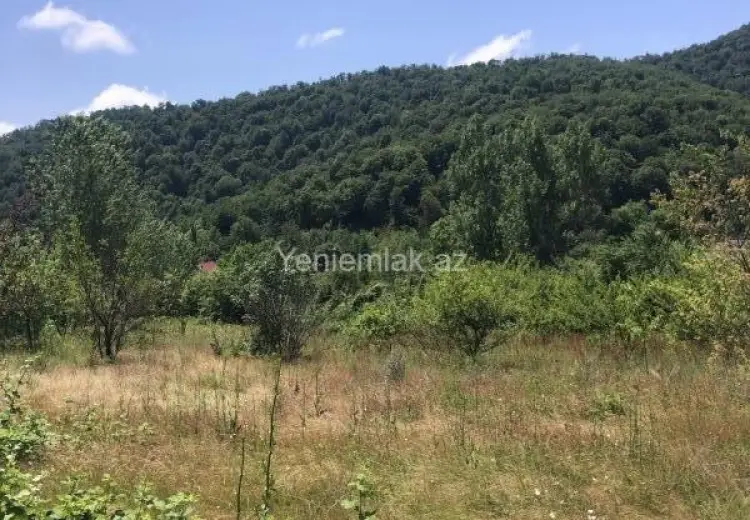 28 sot Torpaq Satılır, Qəbələ
