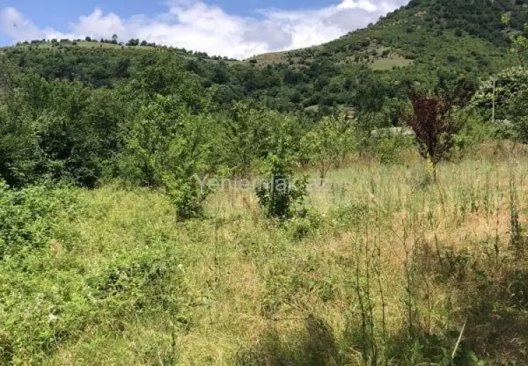 28 sot Torpaq Satılır, Qəbələ