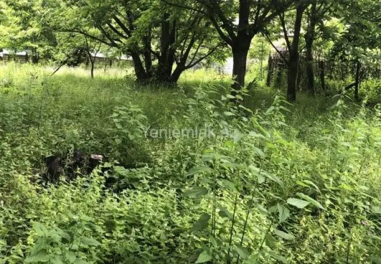15 sot Torpaq Satılır, Qəbələ