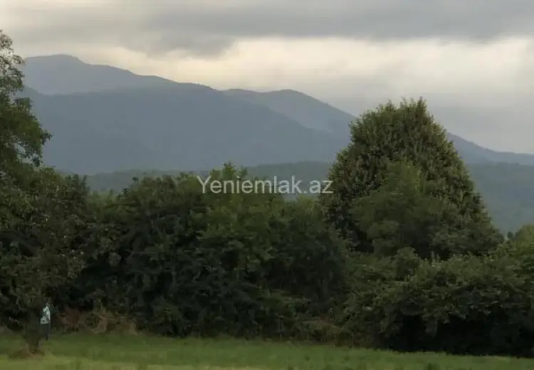 50 sot Torpaq Satılır, Qəbələ