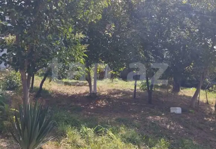 5 otaqlı mənzil , Şəki