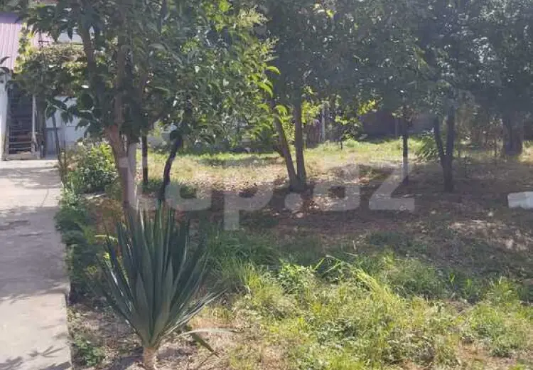 5 otaqlı mənzil , Şəki