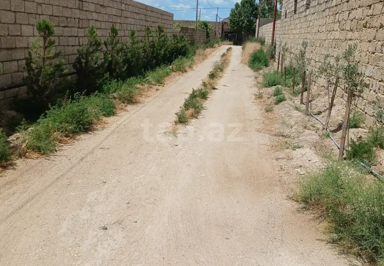 0 m² Obyekt / Ofis , Türkan, Xəzər, Bakı