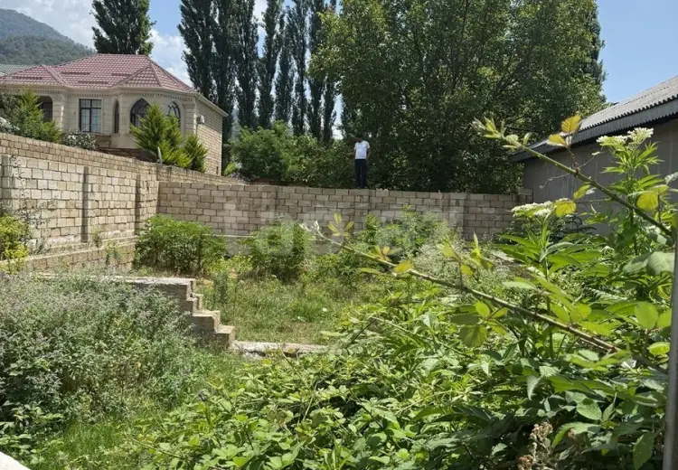 0 m² Obyekt / Ofis , Qəbələ