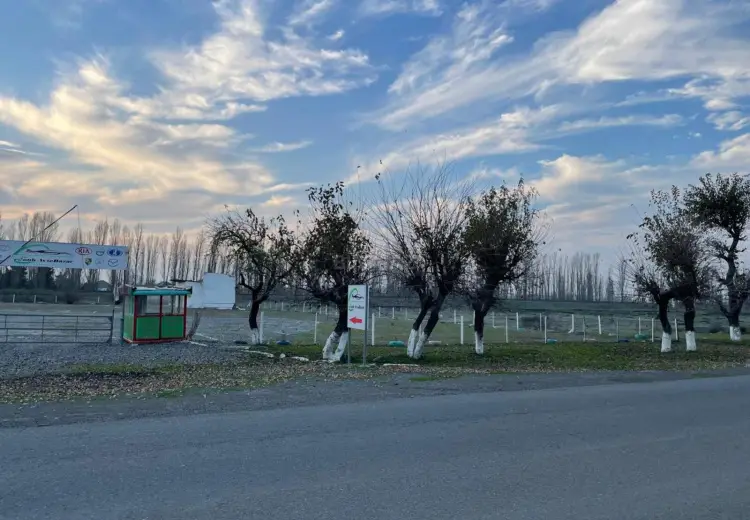 9000 m² Obyekt / Ofis Kirayə (aylıq), Lənkəran