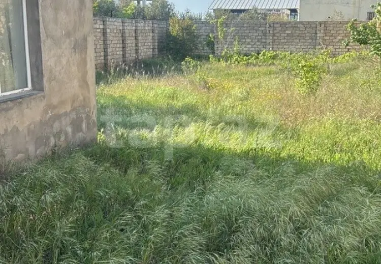 0 m² Obyekt / Ofis , Nardaran qəs., Sabunçu, Bakı