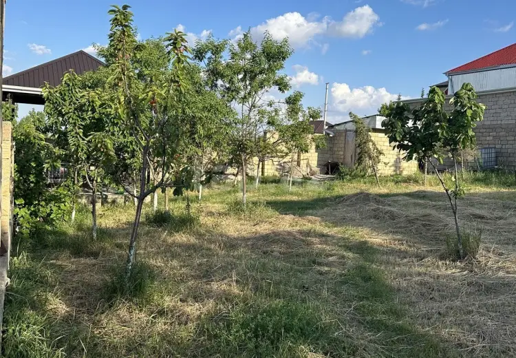 0 m² Obyekt / Ofis , Şamaxı