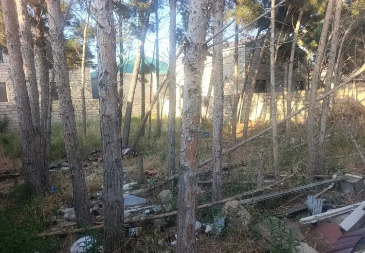 3 sot Torpaq Satılır, Binə qəs., Xəzər, Bakı