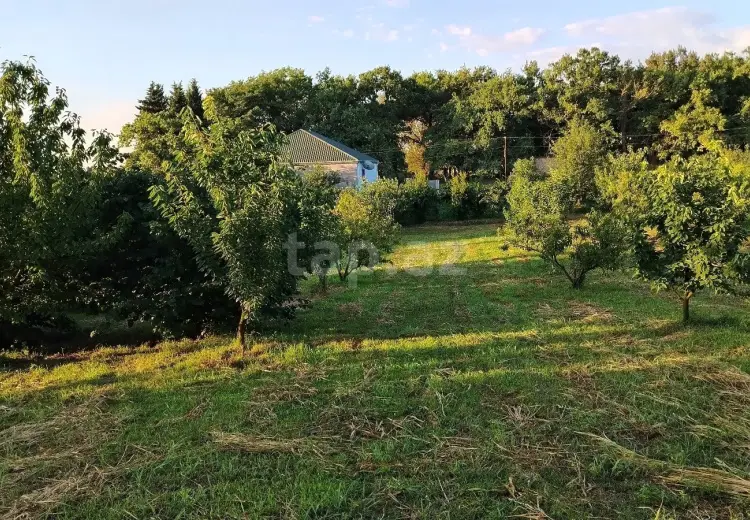 0 m² Obyekt / Ofis , Xaçmaz