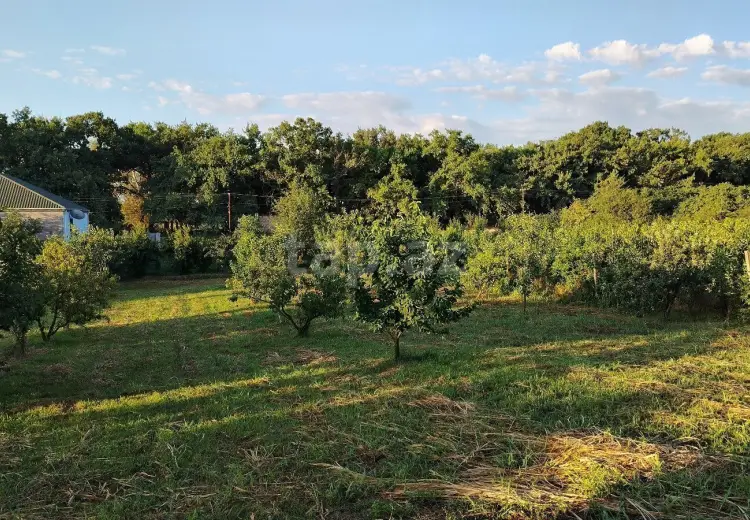0 m² Obyekt / Ofis , Xaçmaz