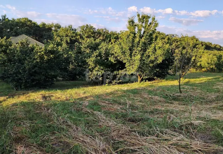 0 m² Obyekt / Ofis , Xaçmaz