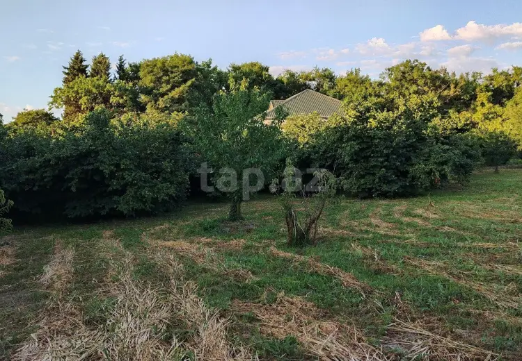 0 m² Obyekt / Ofis , Xaçmaz