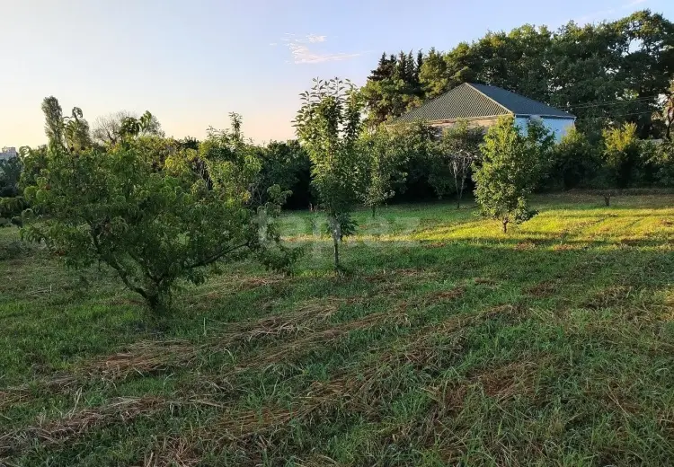 0 m² Obyekt / Ofis , Xaçmaz