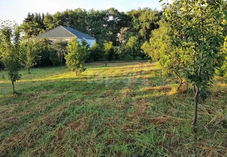 0 m² Obyekt / Ofis , Xaçmaz