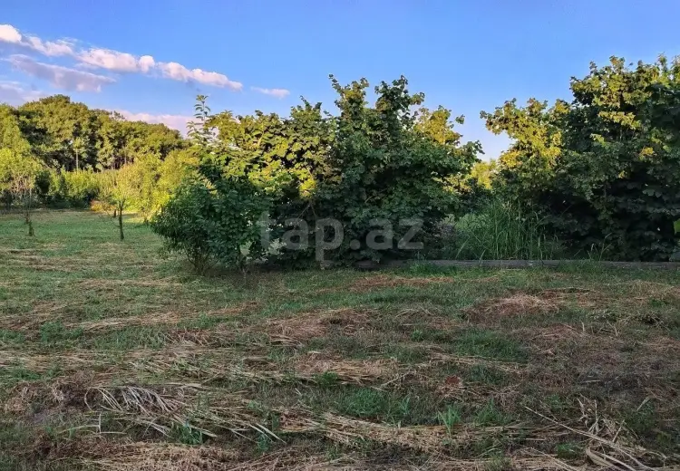 0 m² Obyekt / Ofis , Xaçmaz