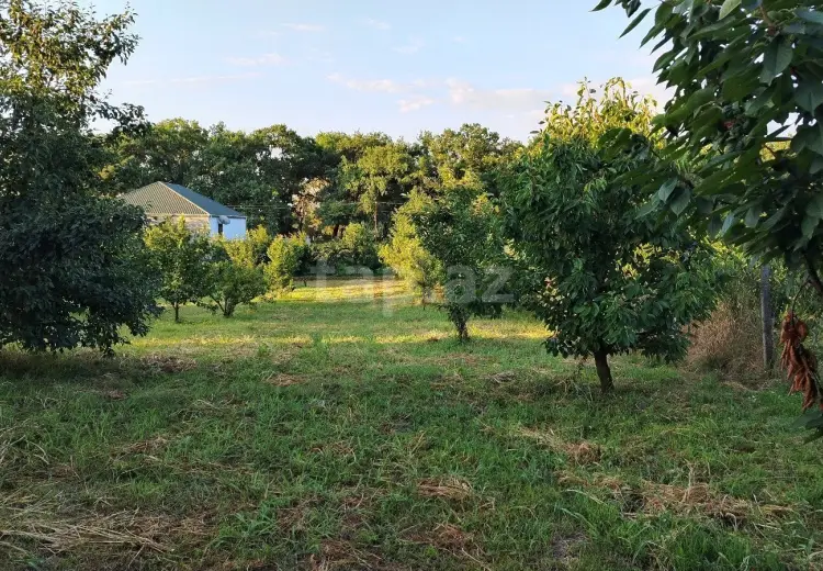 0 m² Obyekt / Ofis , Xaçmaz