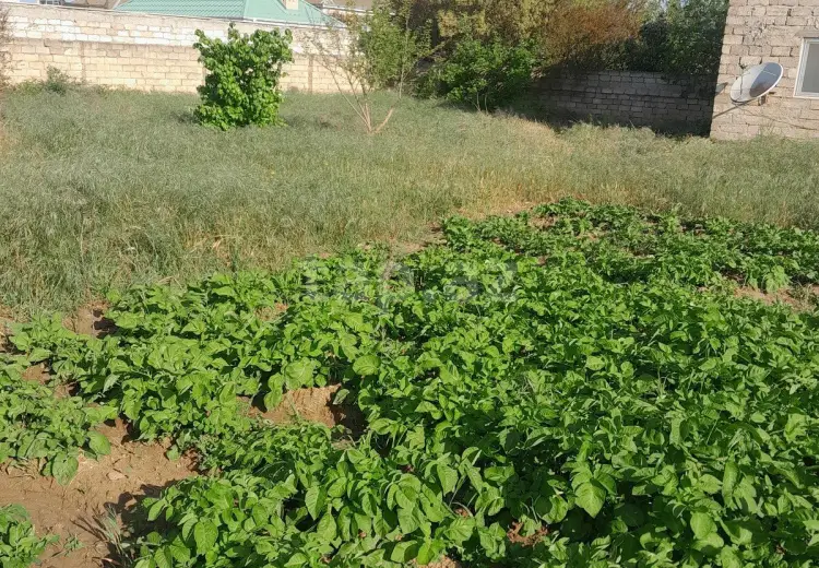 0 m² Obyekt / Ofis , Bilgəh qəs., Sabunçu, Bakı