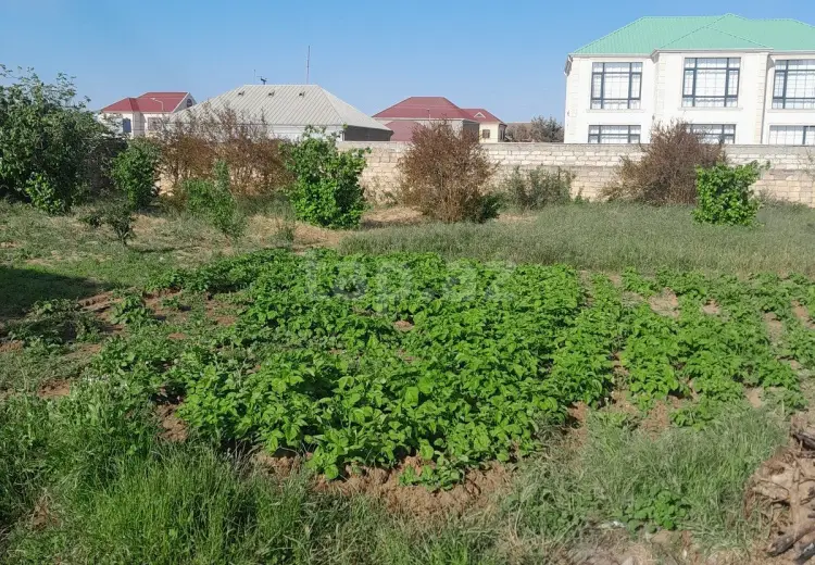 0 m² Obyekt / Ofis , Bilgəh qəs., Sabunçu, Bakı