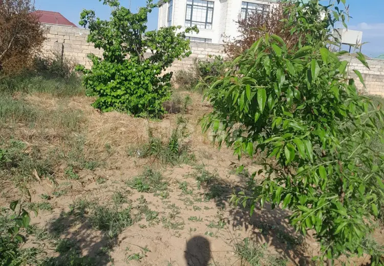 0 m² Obyekt / Ofis , Bilgəh qəs., Sabunçu, Bakı