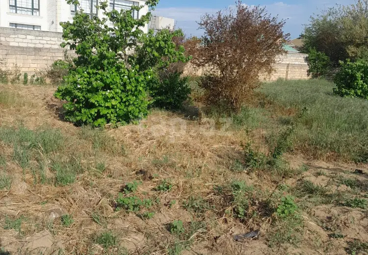 0 m² Obyekt / Ofis , Bilgəh qəs., Sabunçu, Bakı