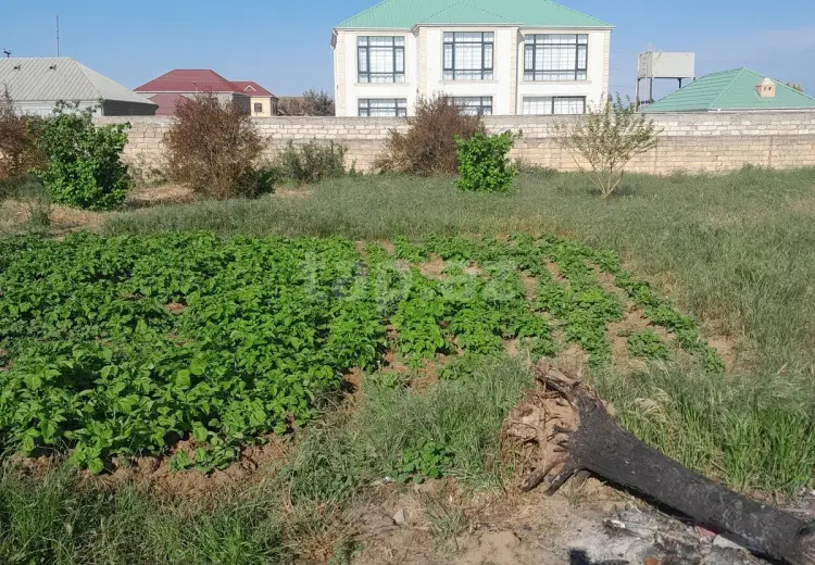 0 m² Obyekt / Ofis , Bilgəh qəs., Sabunçu, Bakı