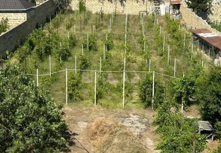 10 sot Torpaq Kirayə (aylıq), Sumqayıt