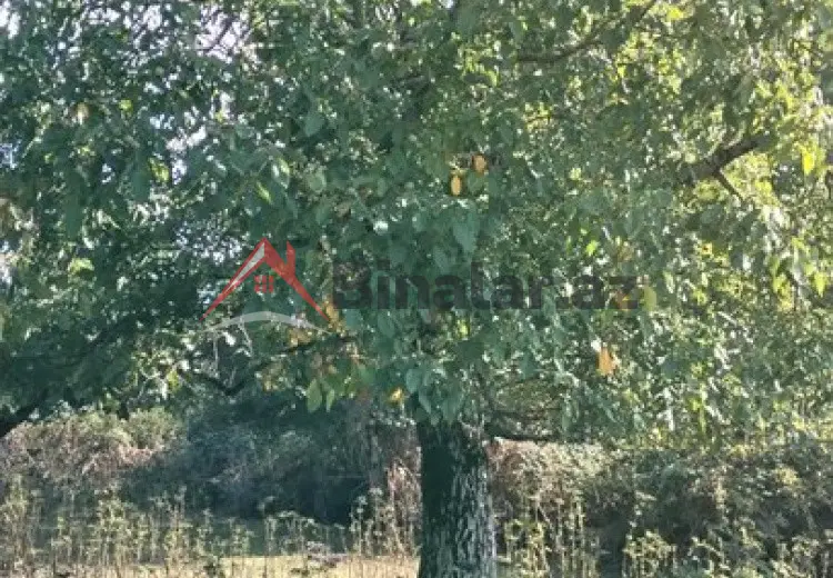 15 sot Torpaq Satılır, Xaçmaz