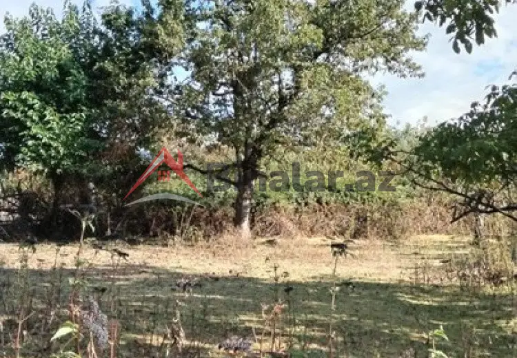 15 sot Torpaq Satılır, Xaçmaz