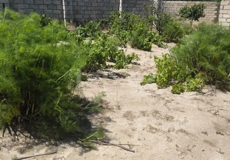 0 m² Obyekt / Ofis , Novxanı, Abşeron