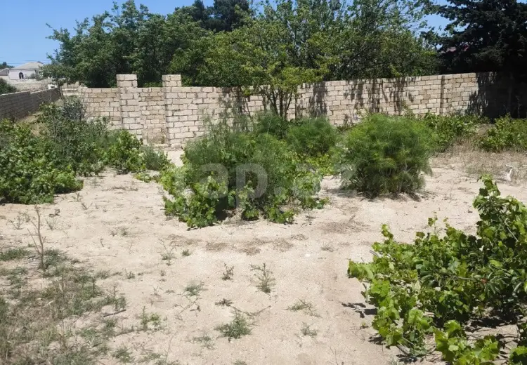 0 m² Obyekt / Ofis , Novxanı, Abşeron
