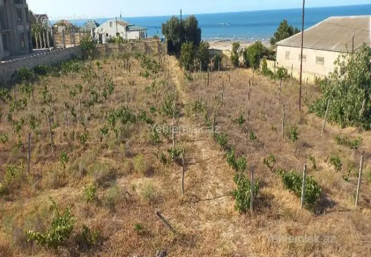 27 sot Torpaq Satılır, Novxanı, Abşeron