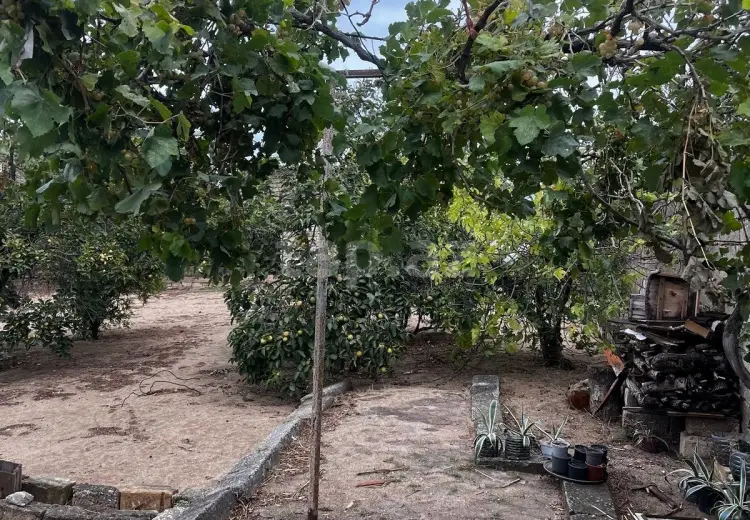5 otaqlı mənzil , Nardaran qəs., Sabunçu, Bakı