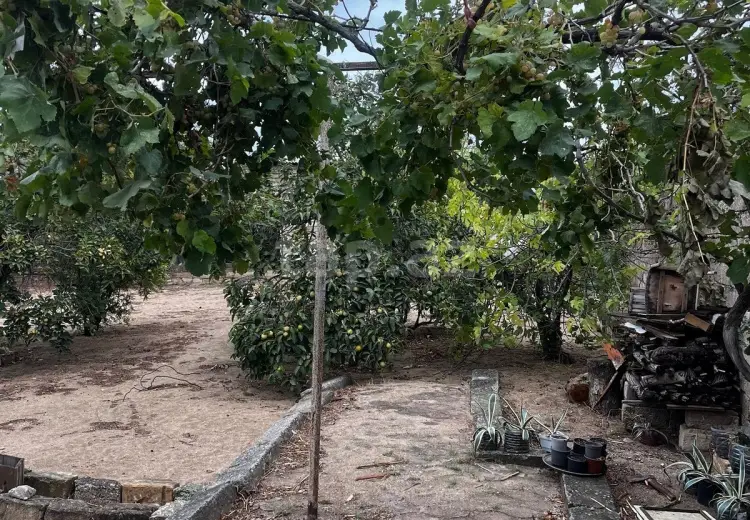 5 otaqlı mənzil , Nardaran qəs., Sabunçu, Bakı