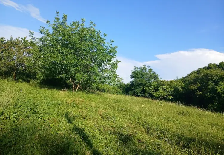 0 m² Obyekt / Ofis , İsmayıllı