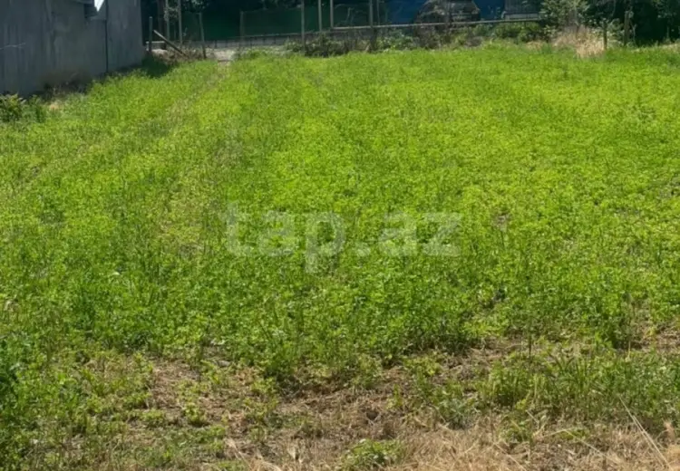 0 m² Obyekt / Ofis , Badamdar qəs., Səbail, Bakı