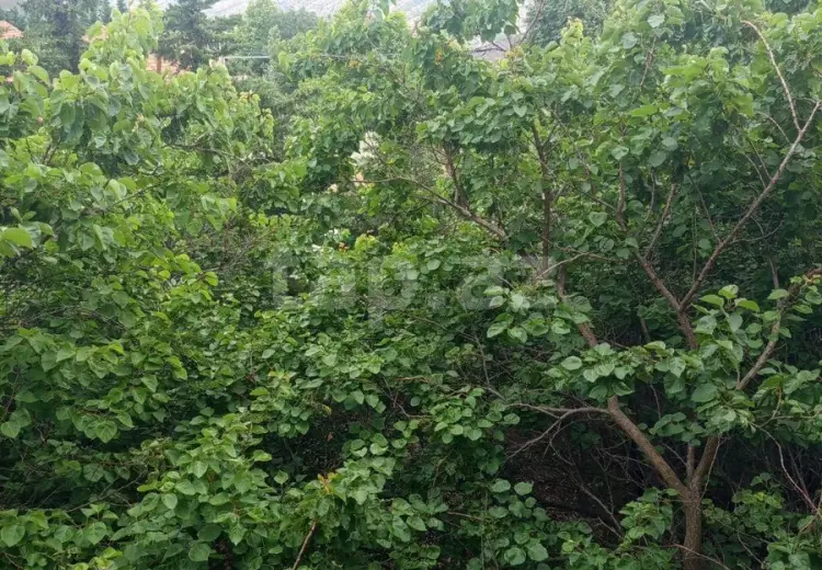 5 otaqlı mənzil , Siyəzən