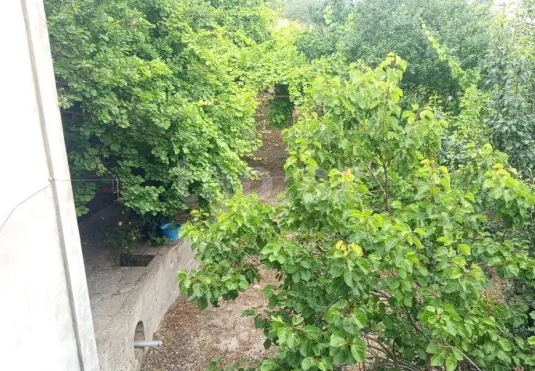 5 otaqlı mənzil , Siyəzən