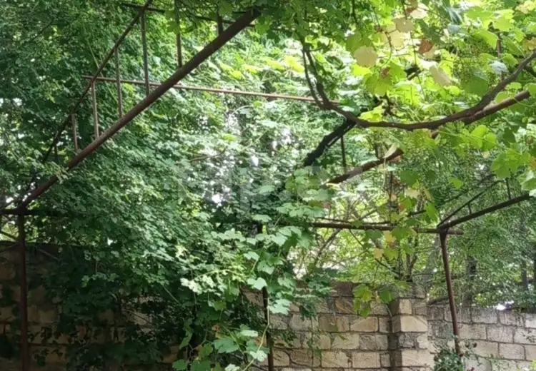 5 otaqlı mənzil , Siyəzən