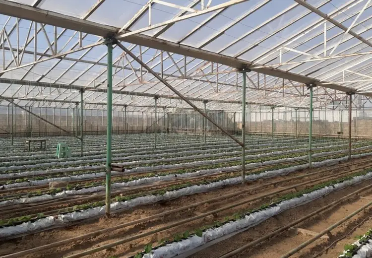 1500 m² Obyekt / Ofis Satılır, Xəzər, Bakı