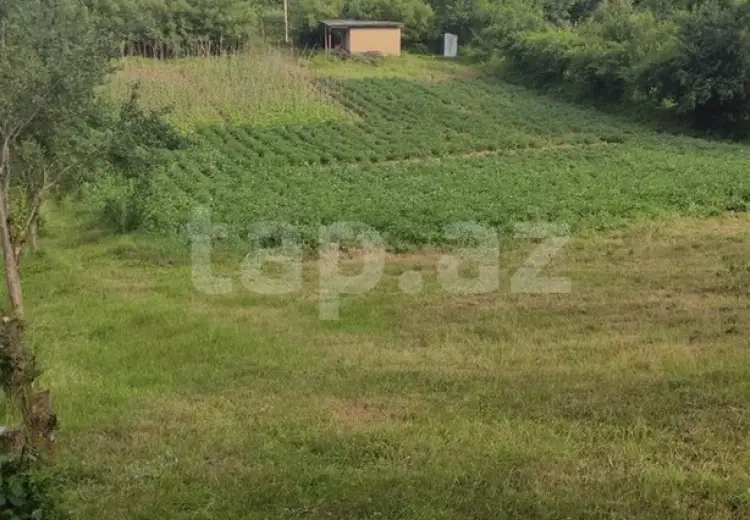 0 m² Obyekt / Ofis , Şamaxı