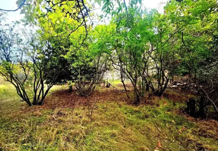 11 sot Torpaq Satılır, Şüvəlan, Xəzər, Bakı
