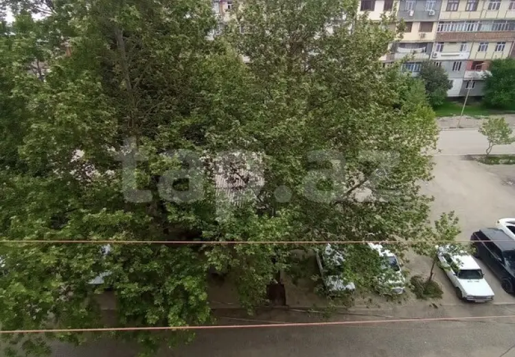 4 otaqlı mənzil , Gəncə